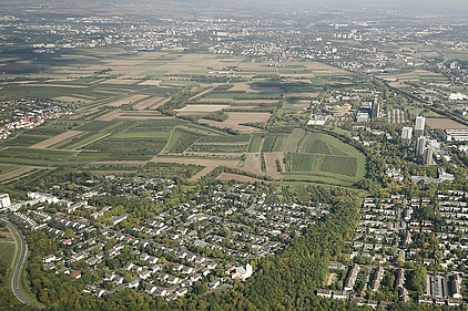 Draiser Senke zwischen Drais und Lerchenberg