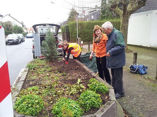 ÖDP richtet ungepflegte Pflanzbeet in der Altkönigstraße her.